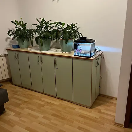 Hanka Нивице